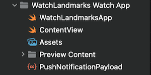 Same watchOS target files created in Xcode 14+, only 2 files