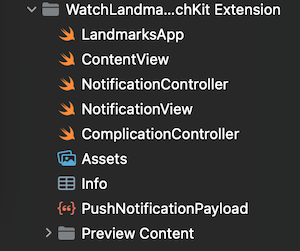 watchOS target files when created in Xcode 13, total of 5 files